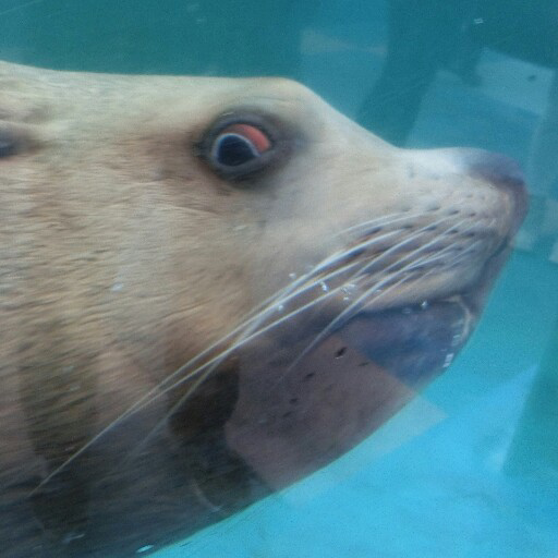 JwI1GuO10a36914's profile picture. 人は水があれば、死のうとしても死なない。眠らず徹底的に働いても、人間は燃料などいらないということを証明したい。