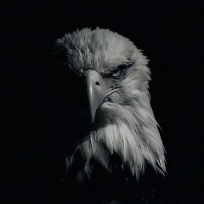 XMoreMrNiceGUY's profile picture. SoloARC loading.