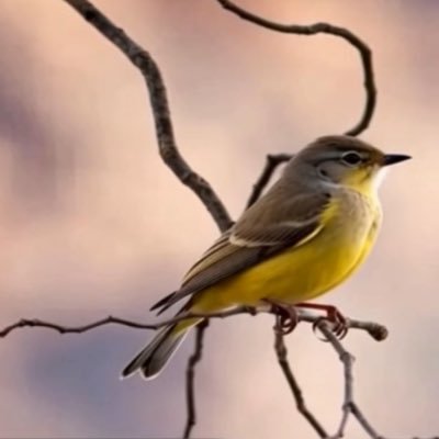 MtnGirlUSA_'s profile picture. America First 🇺🇸 The Golden Age