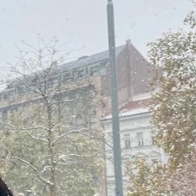 mimi469989's profile picture. 