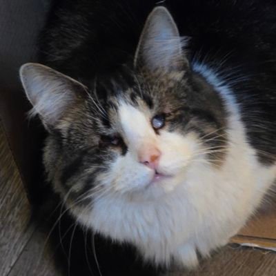 Ven1910396's profile picture. 