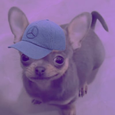 glorprussell's profile picture. alex albon fan ²³ ⁶³ + ⁴⁴ ²²