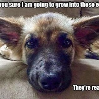 SamMoore6942's profile picture. Christian, husband, father, Crusader vs. Islam...no crypto, no solicitation