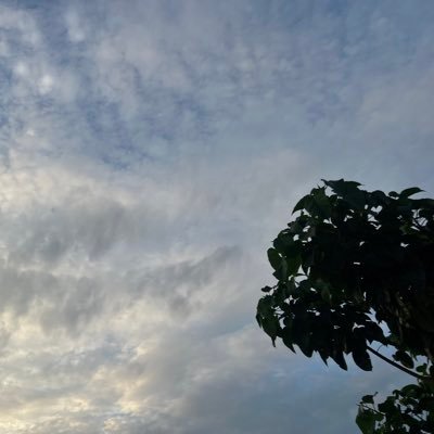 Ensamendy0swh's profile picture. WITH GOD EVERYTHING IS POSSIBLE ✝️