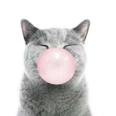 notofh333re's profile picture. the cats are typing, i’m just the vessel 👩‍💻