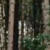 whyamitweeting2's profile picture. the eternal question