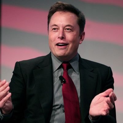 Musk537014's profile picture. 