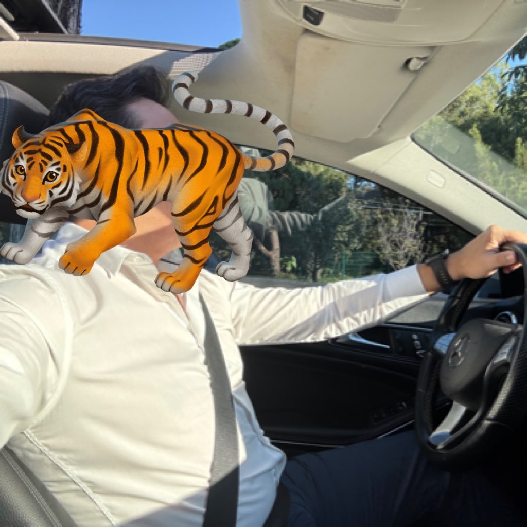 MrTigreForever's profile picture. Be yourself, no matter what they say. 🐇 & 🐥
Catador de Vermut.