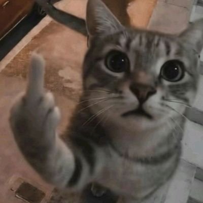 04n_manu's profile picture. tenho muito o que falar não então ✨fds✨