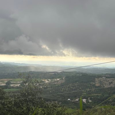 GaelGon45312493's profile picture. 