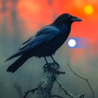 Purley_bait's profile picture. I offer legitimate and reliable bait services.🏳️‍🌈🏳️‍🌈🌈🌈