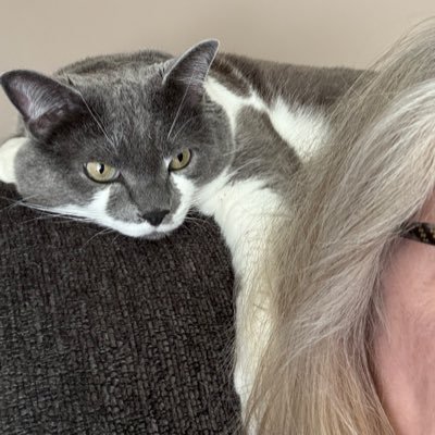 canbewhouneed's profile picture. photography, medical science, foody, a realist and retired in medical field. crypto& bots = block . ❤️my family and friends. life is short- smile!