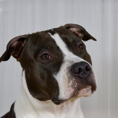 Jakub_LBC's profile picture. Rád trávím čas v kuchyni a to především jako vděčný strávník dobrého jídla :).