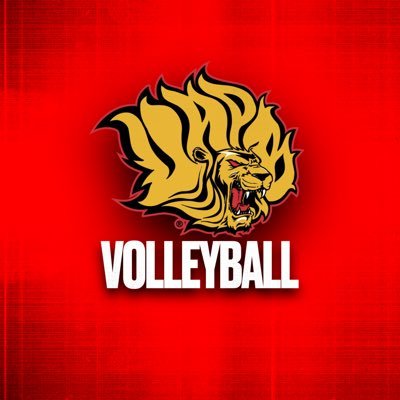 𝐋𝐚𝐝𝐲 𝐋𝐢𝐨𝐧𝐬 𝐕𝐨𝐥𝐥𝐞𝐲𝐛𝐚𝐥𝐥 🏐💛 Profile