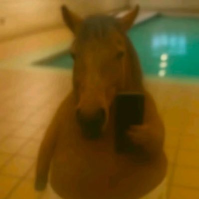 exoobie's profile picture. video editor