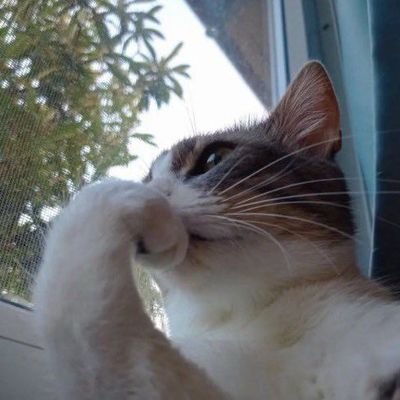 lblksmsnylclk's profile picture. yalnızca okuyor