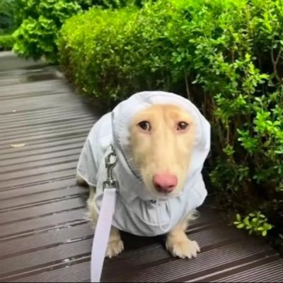 sadosanct's profile picture. nineteen & afraid