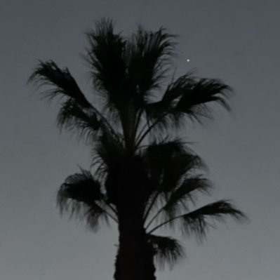 toneteeeeeee's profile picture. 