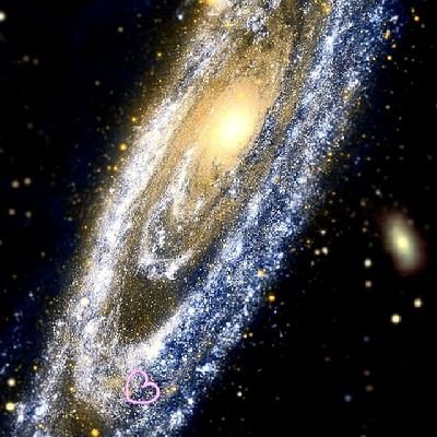 Bitden2024's profile picture. Lebe bewusst