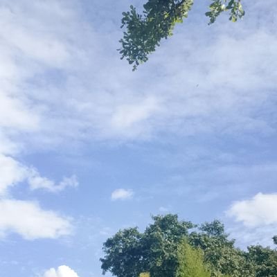 ANGELWIN500usdt's profile picture. akun baru lagi pasti langsung bigwin aamiin