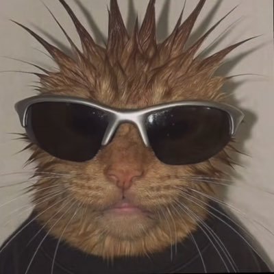 SlurpyVLT's profile picture. 🇫🇷 Student & aimer for
Former @BLXUTD  | @KlanikEsport | @Exalty_fr