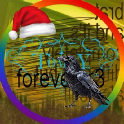 tommyfication's profile picture. 