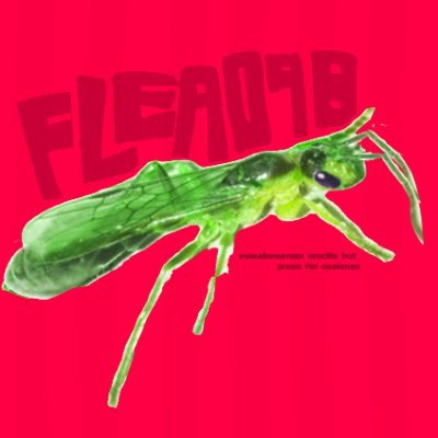 Flea098's profile picture. I like stuff
DNI PROSHIP, ZOOPHILES, RACISTS, HOMOPHOBES, basic dni stuff