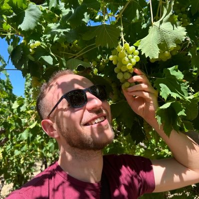 t_scriptologist's profile picture. Software engineer, coins and banknotes collector, sports addict