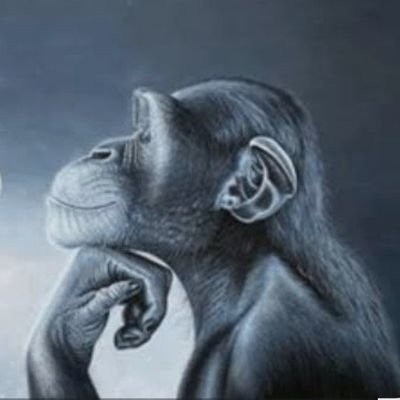 oyolowaJSYK's profile picture. 