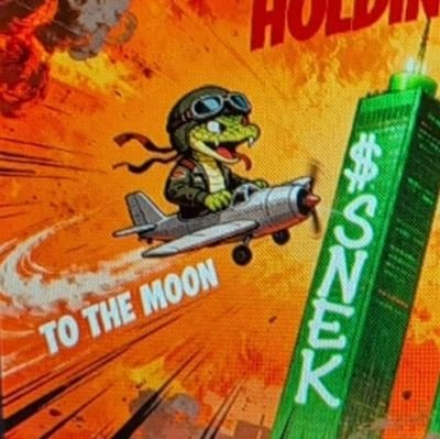 SNEKZonSOL's profile picture. 