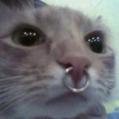 ssascastic's profile picture. filla do monte