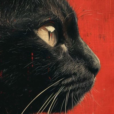 yourfavnoono's profile picture. 