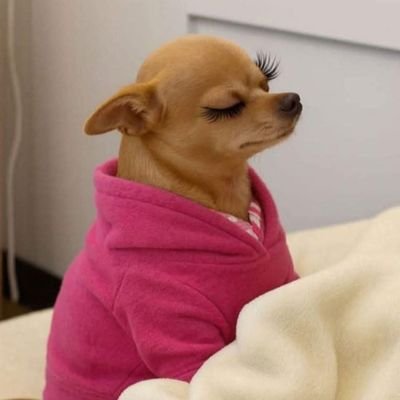 OmuhleNyawuza24's profile picture. KitKat lover