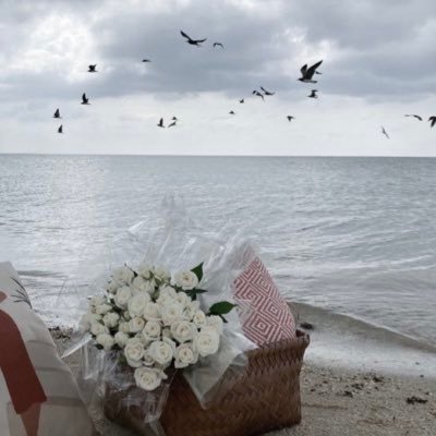 dhai18_'s profile picture. هُنا شيء يشبه روحي ممتلئ بالرحابة و الجمال و السعة 🌱