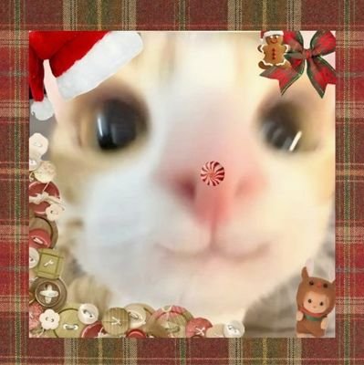 Aubzzzz12's profile picture. :3 | 16 YEARS OLD 🍰| edtwt | bmi 15s | sh recov 1.75 year 🥳 | 👭⚢💏 | ana b/p (mia) | i fb 🩷 | priv is @Auberzzzz09 | https://t.co/R8eyGRNLfS