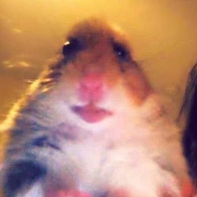 machtrois's profile picture. Cedric, 31 years old and made in Elsass. 🥨 (FR/ENG)
Crash Bandicoot, Pokemon, Warcraft, Starcraft, Diablo and Borderlands enthusiast.👹
I like cars also. 🔰