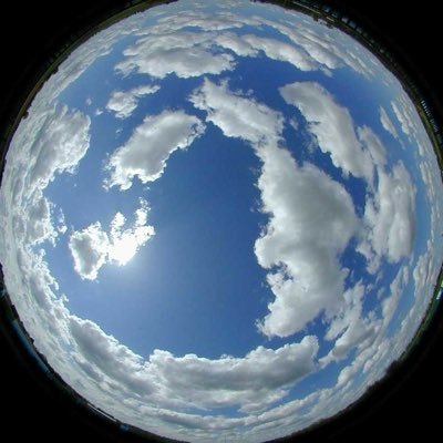 levhls's profile picture. @j9cko_ @Medarlu