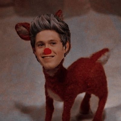 onedbraziliian's profile picture. ex integrante da one direction