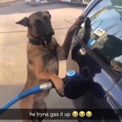 ekajj_'s profile picture. 