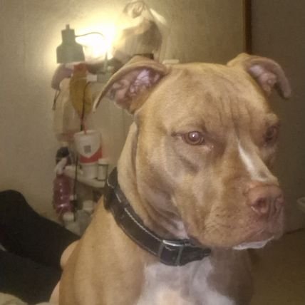 chasta69787's profile picture. 