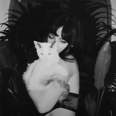 gwrlviolence's profile picture. i talk about my favorite women