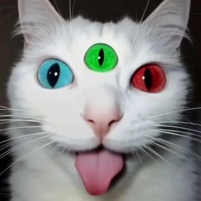 M00NBLADA's profile picture. Three-eyed Psychopomp, Part Time Magician, Eternal Champion, Heartthrob, Autist Ronin, Wulf ov Garcha, Little Bot🤖/NPC👤and never •☽ 𝕸𝖔𝖔𝖓𝖇𝖑𝖆𝖉𝖊 ☾•