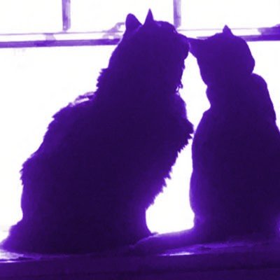 astridendures's profile picture. 🏴🔆🇵🇸🇨🇩🇸🇩🇭🇹🇺🇦🪶
do care + did ask + I have the time + I love you🌱🌲🪲🐍🏵️🐝🍁🐌🦉🦌🦭🕷️🐦‍⬛🐈‍⬛🐘🦇🐙🌺🪷🌸🪻🐋🦋
cs/bio 24 yt neurofckd 🩷🤍🩵