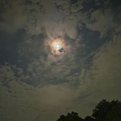 DVyas09828's profile picture. Love writing ✍️ | Travelogue 📖 | Car enthusiast 🚗 | Budding cook 🍳 | Tech lover📱 | #SamsungFan | Exploring life, one passion at a time 🌟