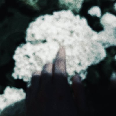 annuiiunna's profile picture. 写真、創作、あんにゅい。