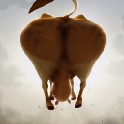 Bovineboooty's profile picture. 24
They/them