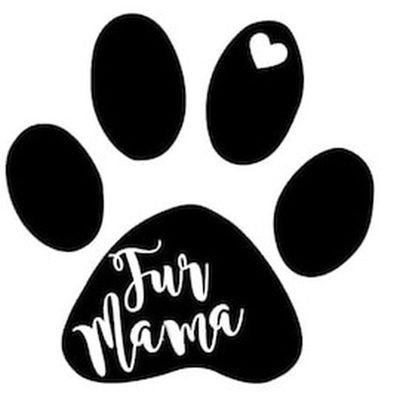 Notty_k9's profile picture. K9 🐶 content creator 🐾🐕‍🦺💦DM me on telegram 🔗⛓️⛓️https://t.co/EOyyDfqkNt