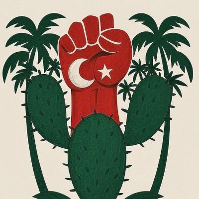 diminishinghaze's profile picture. 