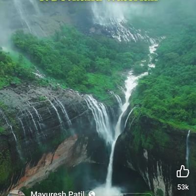 shrenikkj's profile picture. 