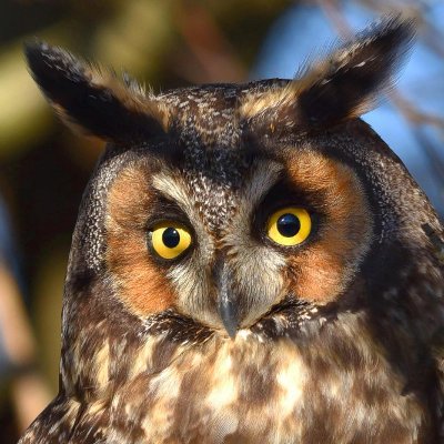 Vivienn9's profile picture. Love fitness, travel, nature. Kind, honest, always smiling. Enjoying life and the beauty around me 🌿😊